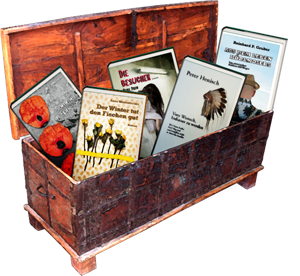 Bücherbox